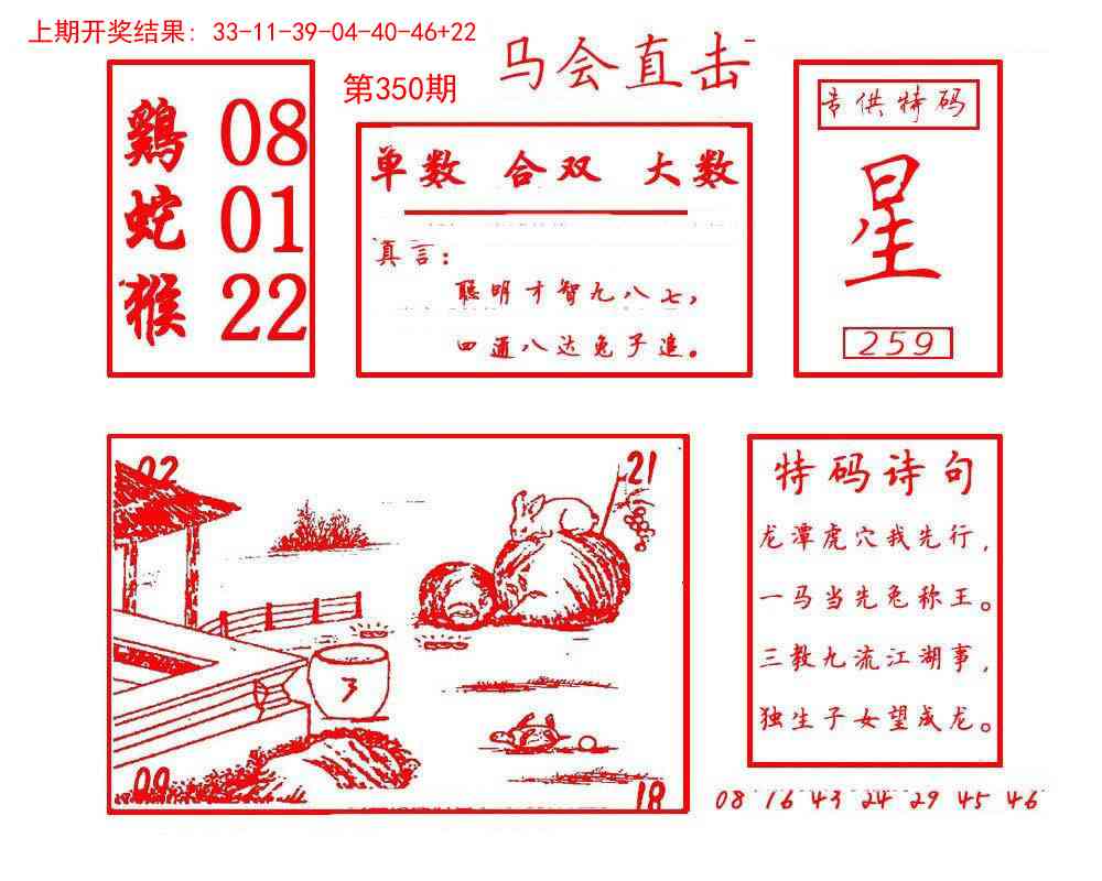 350期马会直击[图]