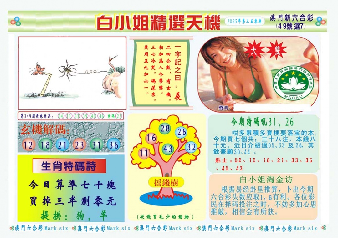 350期白小姐精选玄机A[图]