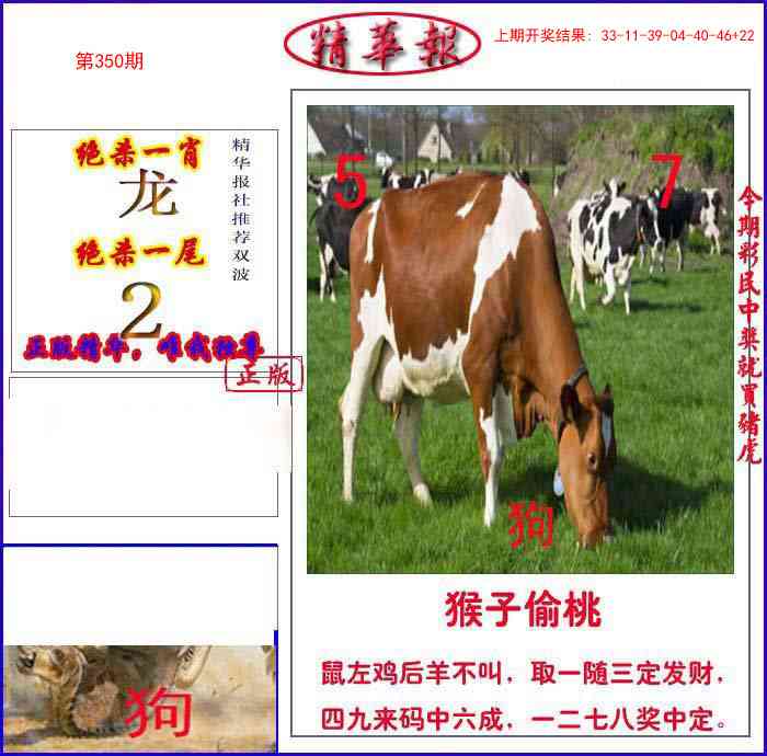 350期新精华报报[图]