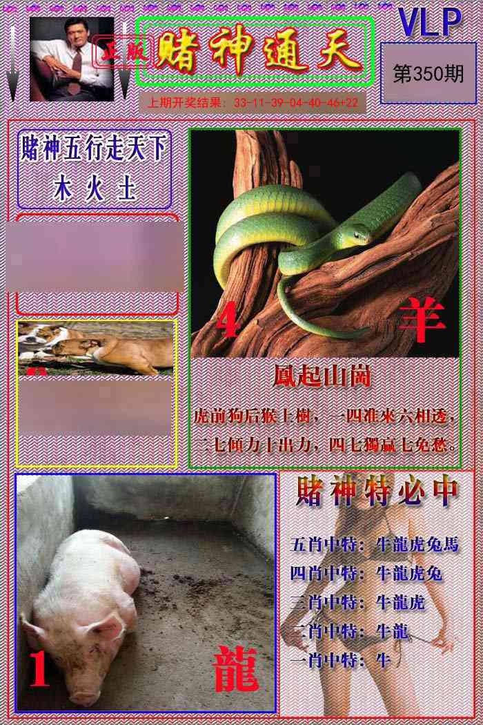 350期赌神通天报[图]