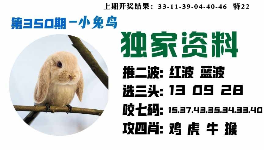 350期小兔鸟[图]