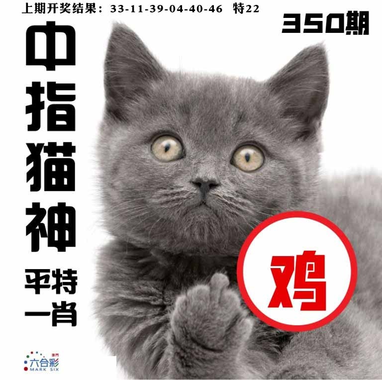 350期中指猫神[图]
